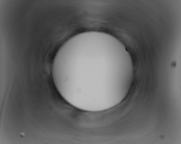 X0000101110033200807171946