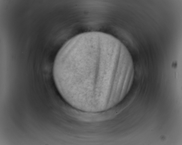 X0000101110034200807171946