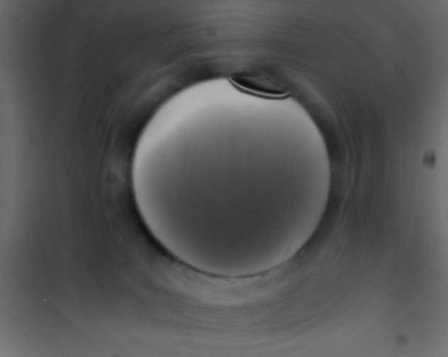 X0000101110035200807171946