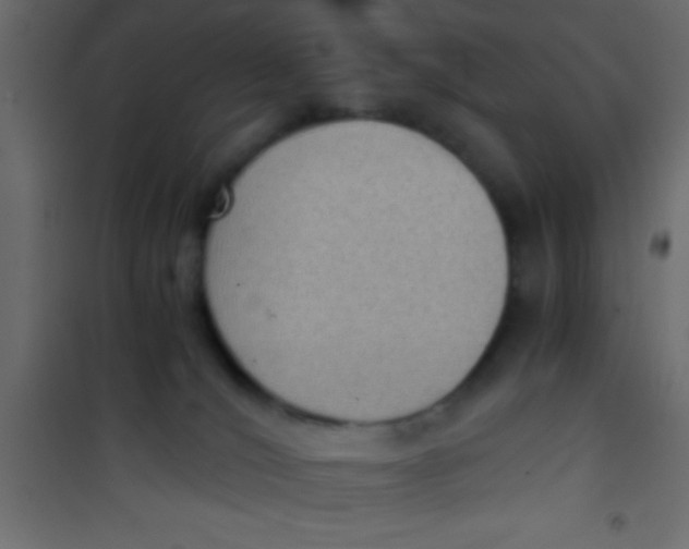 X0000101110036200807171946