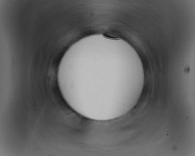 X0000101110037200807171946