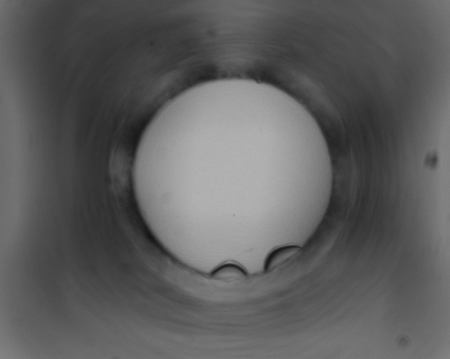 X0000101110038200807171946