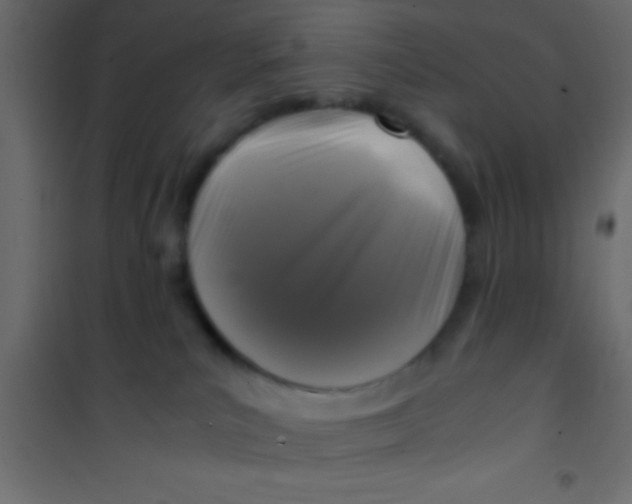 X0000101110039200807171946