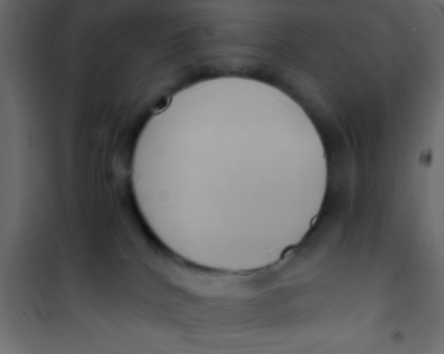 X0000101110040200807171946