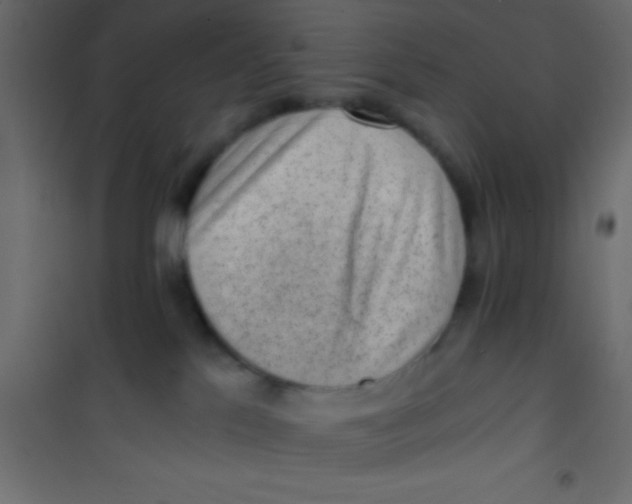 X0000101110041200807171946