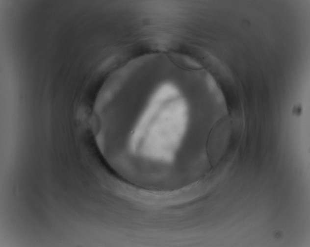 X0000101110043200807171946