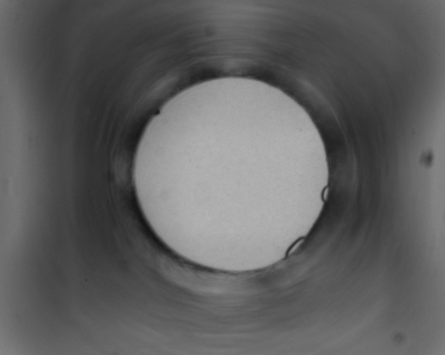 X0000101110044200807171946