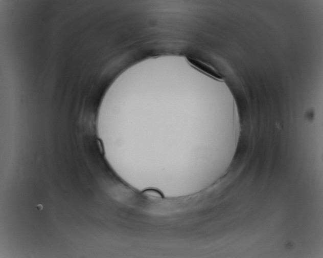 X0000101110045200807171946