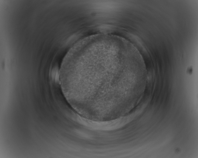 X0000101110046200807171946