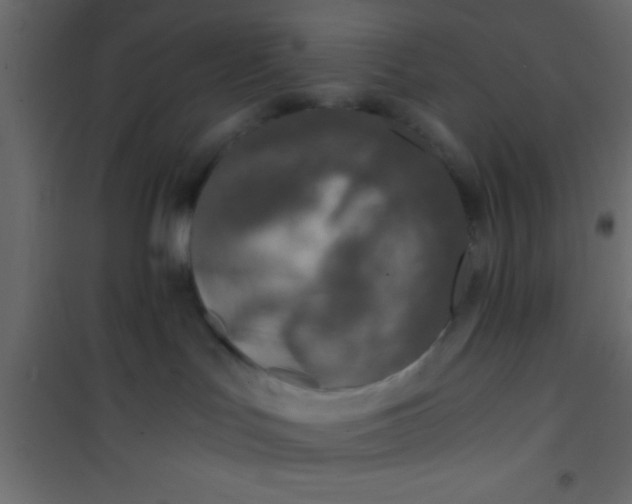 X0000101110047200807171946