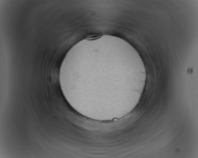 X0000101110048200807171946