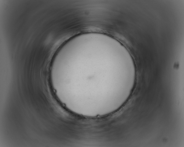 X0000101110049200807171946