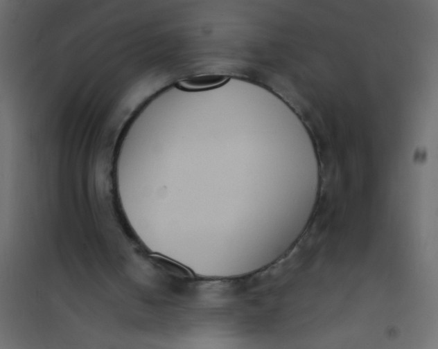 X0000101110050200807171946