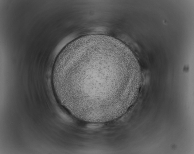 X0000101110051200807171946