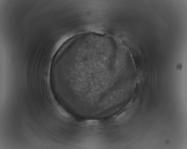 X0000101110052200807171946