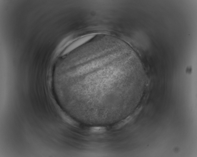 X0000101110053200807171946