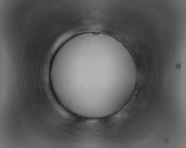 X0000101110054200807171946