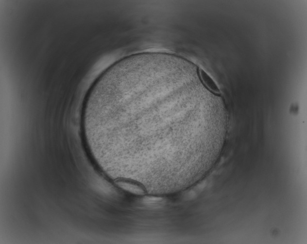 X0000101110055200807171946