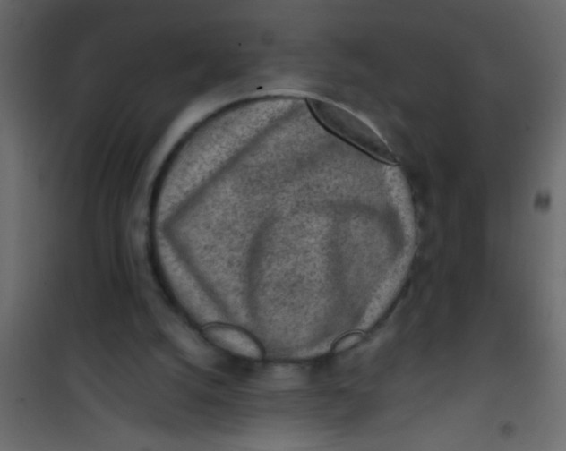 X0000101110056200807171946