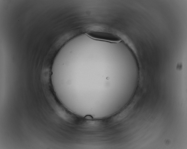 X0000101110057200807171946