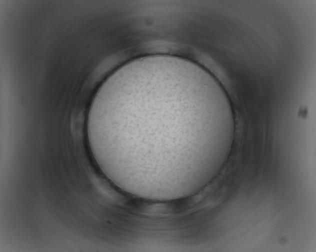 X0000101110058200807171946