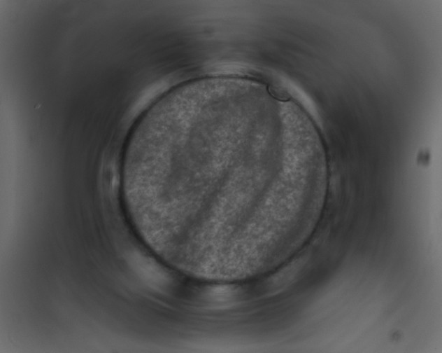 X0000101110059200807171946