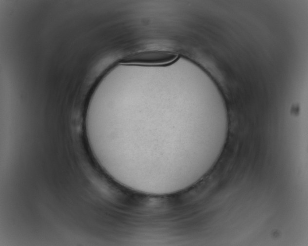 X0000101110060200807171946