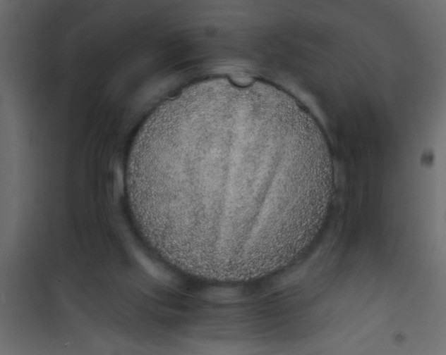 X0000101110061200807171946