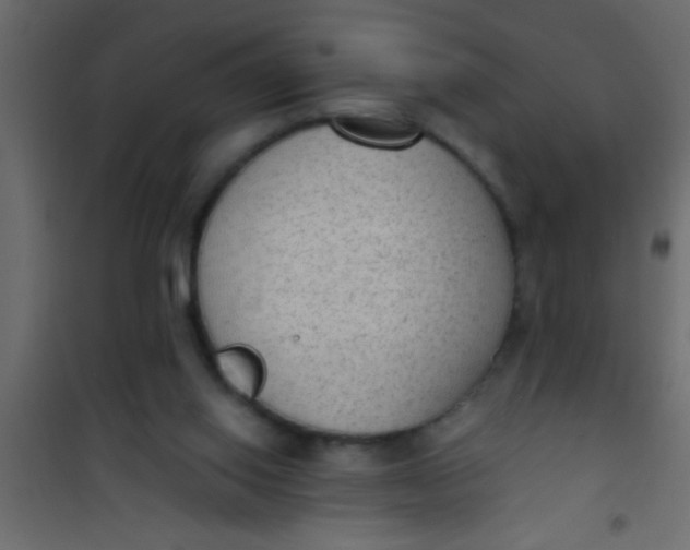 X0000101110062200807171946