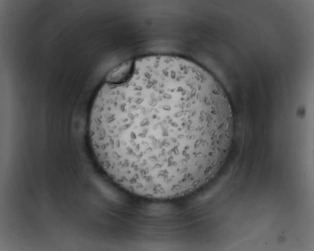 X0000101110063200807171946