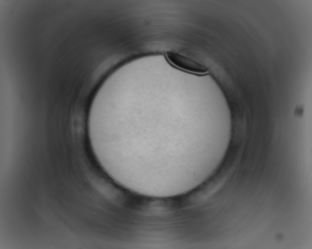 X0000101110064200807171946