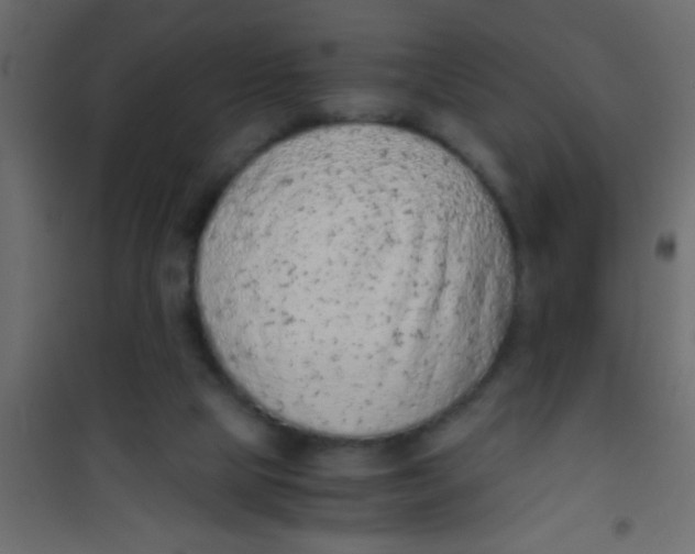 X0000101110065200807171946