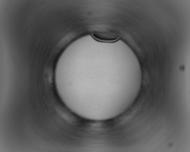 X0000101110068200807171946