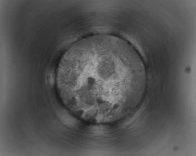 X0000101110069200807171946