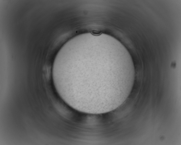 X0000101110070200807171946