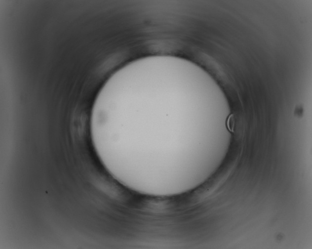 X0000101110071200807171946