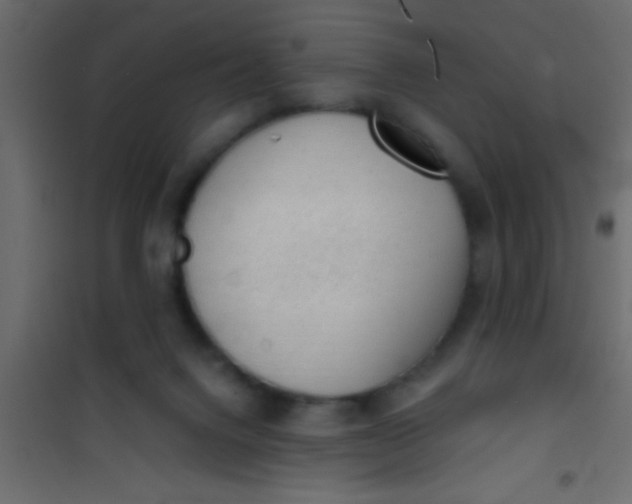 X0000101110072200807171946