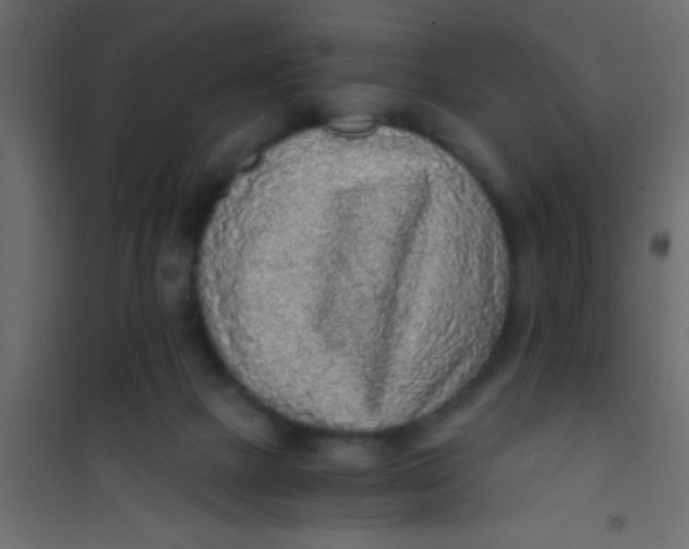 X0000101110073200807171946