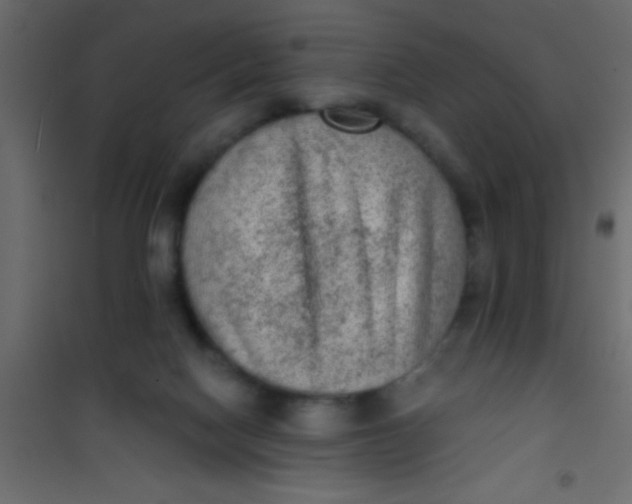 X0000101110074200807171946