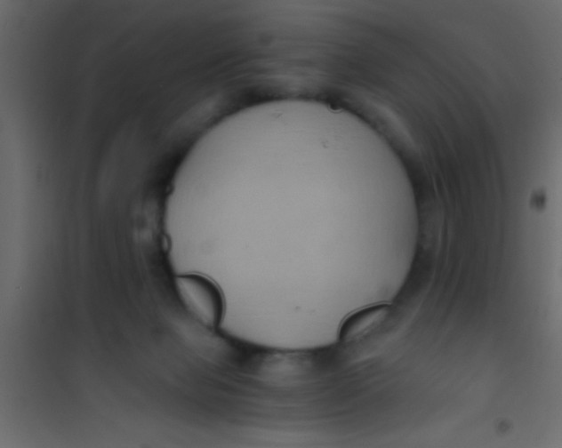 X0000101110077200807171946