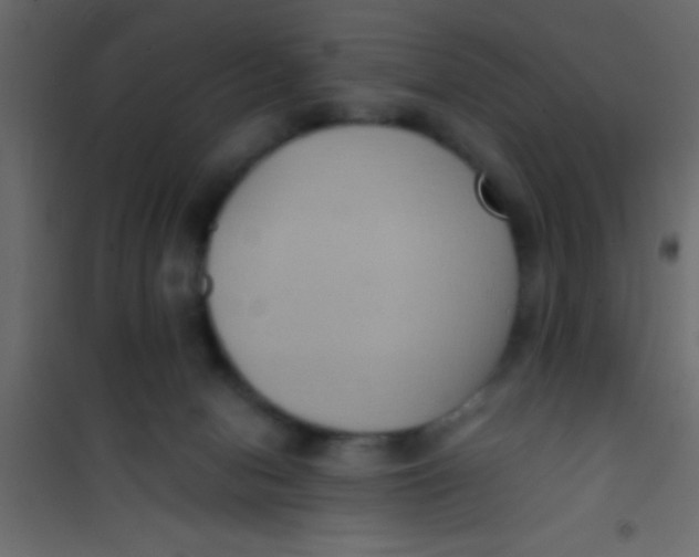 X0000101110078200807171946