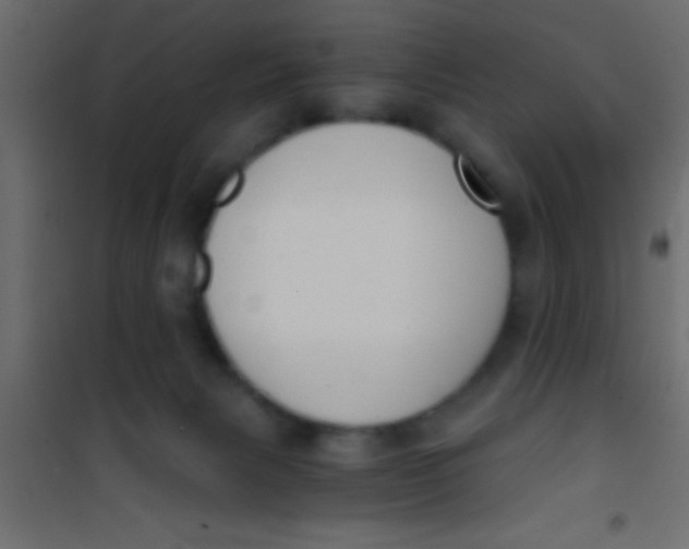 X0000101110079200807171946