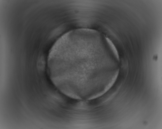 X0000101110080200807171946