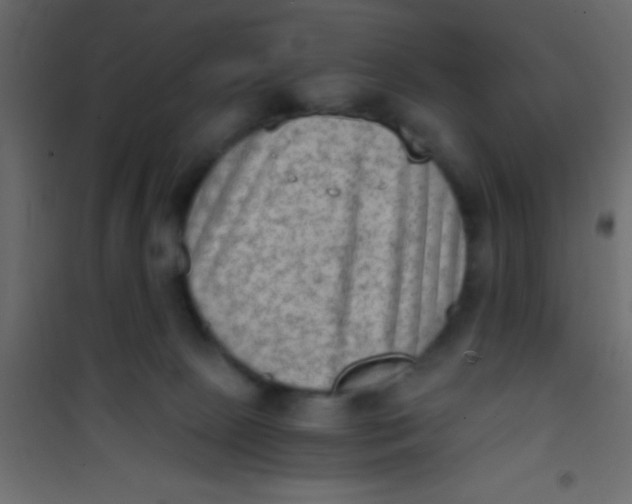 X0000101110081200807171946