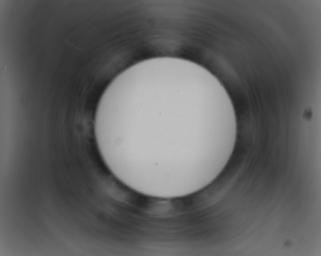 X0000101110083200807171946