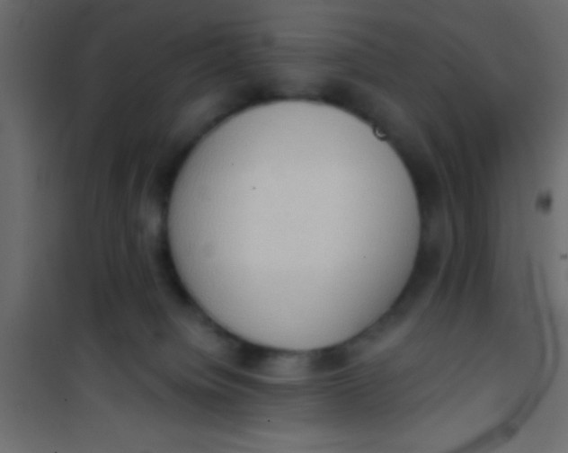 X0000101110084200807171946