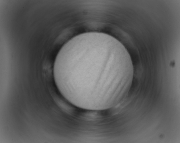 X0000101110086200807171946