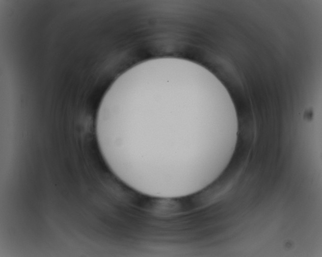 X0000101110087200807171946