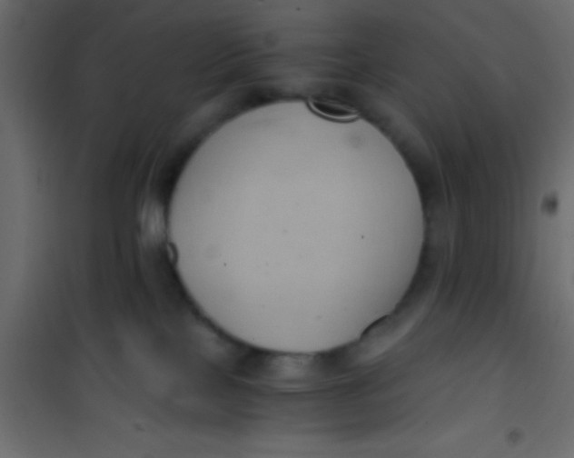 X0000101110089200807171946