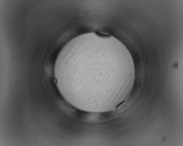 X0000101110090200807171946